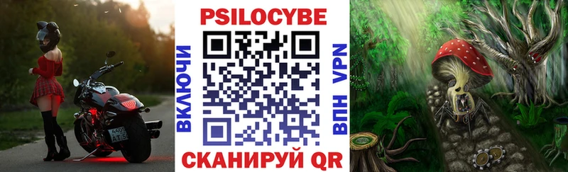 Псилоцибиновые грибы мицелий Дегтярск